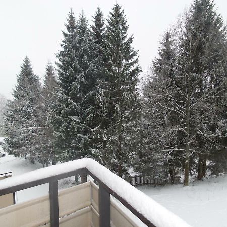 Ferienwohnung Mit Blick In Den Bayrischen Wald Oberhalb Von Sankt Engelmar Санкт-Енгльмар Екстер'єр фото