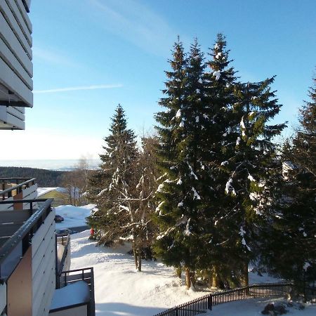 Ferienwohnung Mit Blick In Den Bayrischen Wald Oberhalb Von Sankt Engelmar Санкт-Енгльмар Екстер'єр фото