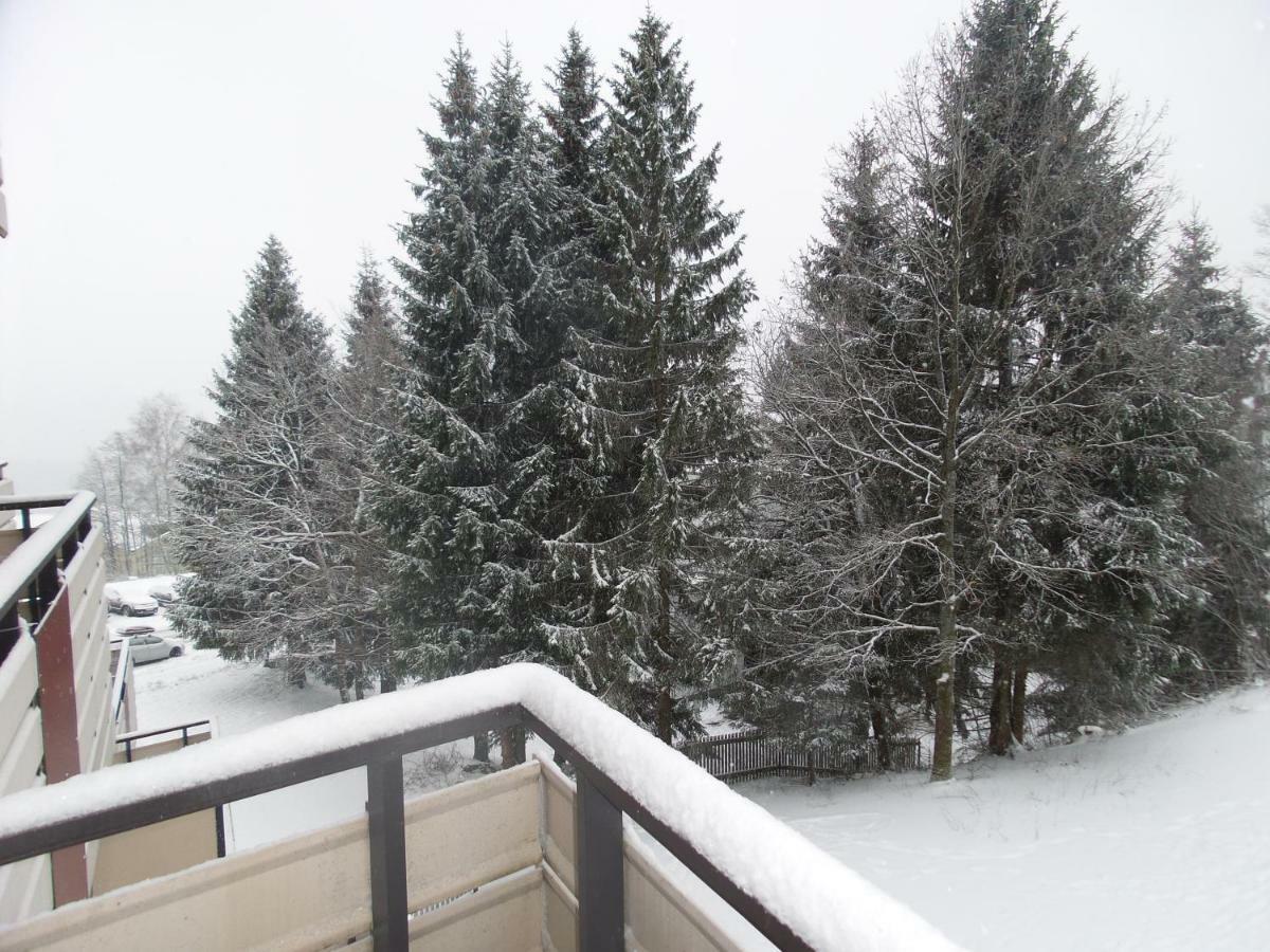 Ferienwohnung Mit Blick In Den Bayrischen Wald Oberhalb Von Sankt Engelmar Санкт-Енгльмар Екстер'єр фото