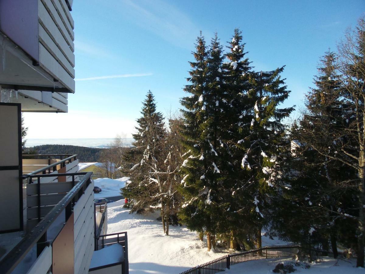 Ferienwohnung Mit Blick In Den Bayrischen Wald Oberhalb Von Sankt Engelmar Санкт-Енгльмар Екстер'єр фото