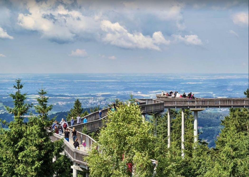 Ferienwohnung Mit Blick In Den Bayrischen Wald Oberhalb Von Sankt Engelmar Санкт-Енгльмар Екстер'єр фото