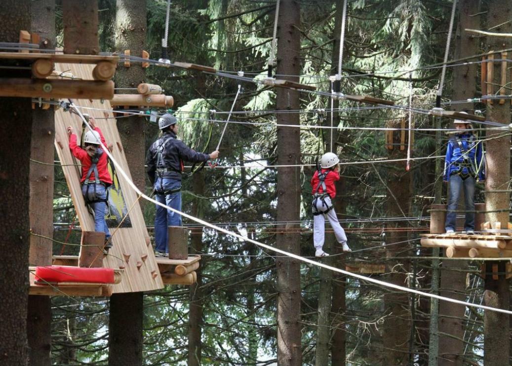 Ferienwohnung Mit Blick In Den Bayrischen Wald Oberhalb Von Sankt Engelmar Санкт-Енгльмар Екстер'єр фото